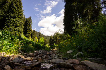 Views of nature and mountains on a popular hiking route in the mountains not far from Almaty. Summer landscapes in the mountains.