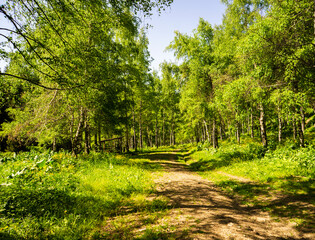 Views of nature and mountains on a popular hiking route in the mountains not far from Almaty. Summer landscapes in the mountains.