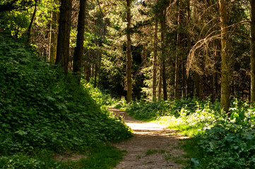 Views of nature and mountains on a popular hiking route in the mountains not far from Almaty. Summer landscapes in the mountains.