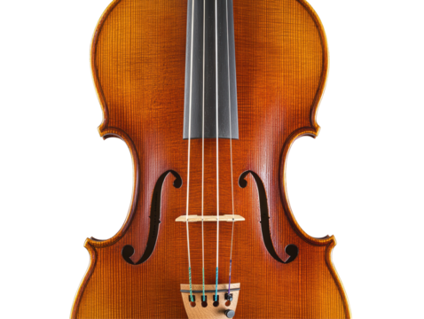 Isolated Close-up of Violin