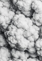 Monochrome Clouds with Subtle Gradation for Abstract Backgrounds and Designs