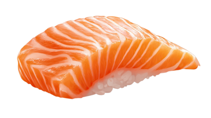 Salmon Nigiri Sushi: A delectable piece of salmon nigiri, showcasing the rich orange hue and delicate marbling of the fresh salmon fillet atop a bed of perfectly formed sushi rice.