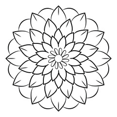 Mandala design vector
