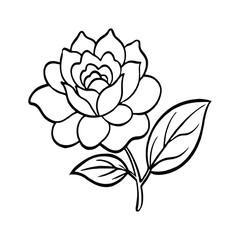 A rose flower  vector illustration