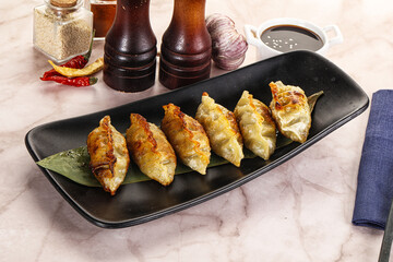 Fried Japanese stuffed dumplings - Gyoza