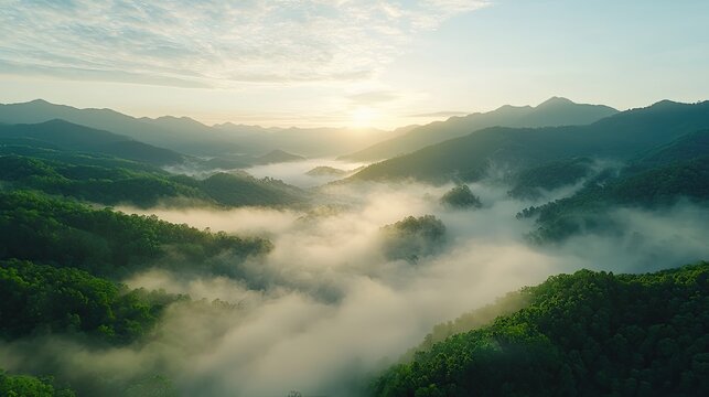 Sunrise over misty mountain landscape - Powered by Adobe