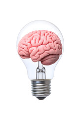 Human brain inside a light bulb representing the power of thinking