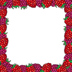 square frame of colored drawings of raspberries and blackberries, hand drawn in cartoon style.