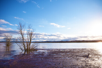 Le Colmate di Brolio, magiche!