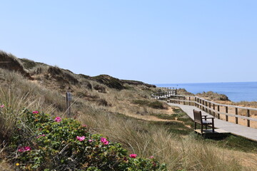 Blick auf die Küstenlandschaft bei Kampen auf der Nordfriesischen Insel Sylt	