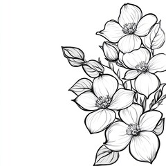 Elegant Black And White Floral Design Featuring Dogwood Blossoms