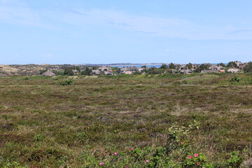 Blick auf die Küstenlandschaft bei Kampen auf der Nordfriesischen Insel Sylt	