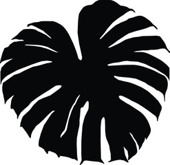 Monstera Deliciosa plant leaf from tropical forests isolated. Vector for greeting cards, flyers, invitations, web design