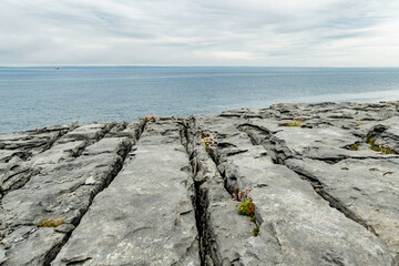 Spectacular misty landscape in the Burren region of County Clare, Ireland. Exposed karst limestone...