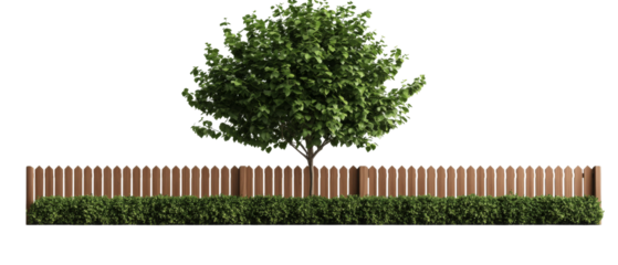 green tree stands beside wooden fence and trimmed bushes, creating serene outdoor scene
