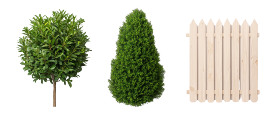 crisp realistic photo showing three garden items tree, shrub, and wooden fence