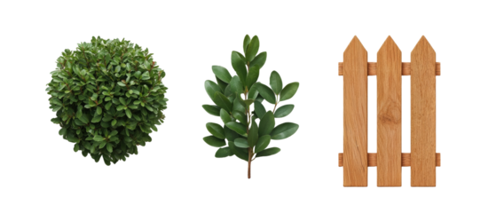 minimalistic high quality image showing bush, branch, and wooden fence