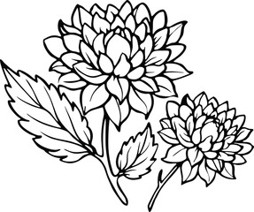 Chrysanthemum Line Art with Leaves and Buds