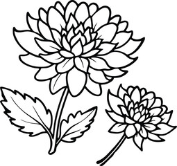 Chrysanthemum Line Art with Leaves and Buds