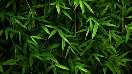 Fototapeta premium Lush Green Bamboo Leaves Creating a Dense Natural Background