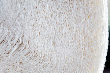 The paper towel's texture is visible as overlapping layers of soft white fibers create a rippled effect. The soft, absorbent nature of the towel is implied. Macro shot of a toilet paper roll