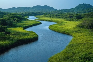 Serene winding river through lush greenery nature landscape tranquil environment scenic viewpoint hd imagery for relaxation