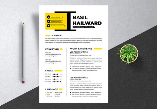 Modern Resume CV