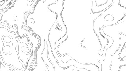 Topography and geography map grid abstract backdrop. Business concept. Fish Fillet Texture, Salmon fillet texture, fish pattern. paper texture