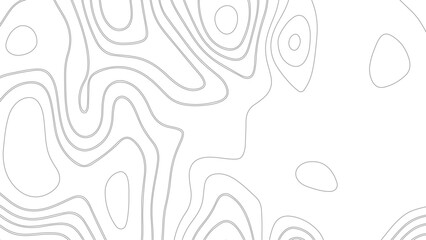 Topography and geography map grid abstract backdrop. Business concept. Fish Fillet Texture, Salmon fillet texture, fish pattern. paper texture