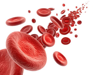 Flowing red blood cells no background in PNG format.