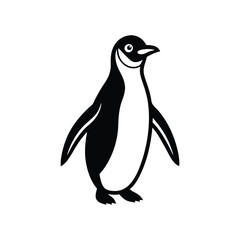 penguin isolated on white background