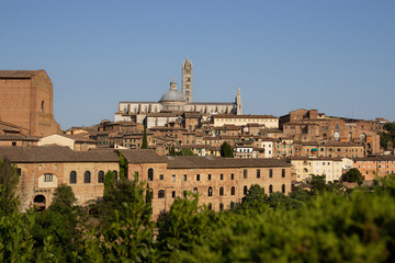 Obraz premium View of Siena from Fortezza Medicea 