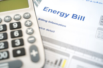 Electric bill statement and home energy consumption
