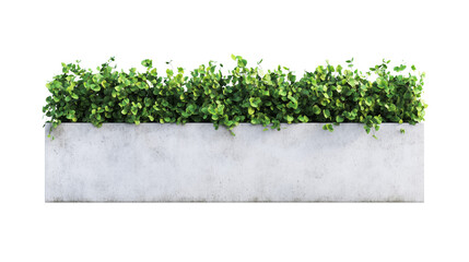 Concrete planter with a green hedge, isolated on Transparent PNG format background. 