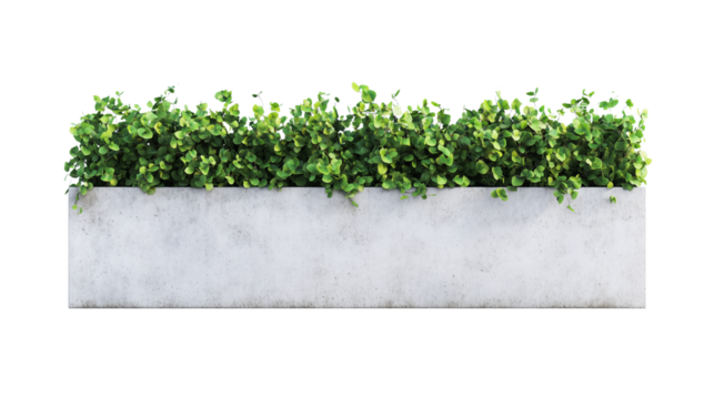 Concrete planter with a green hedge, isolated on Transparent PNG format background. 