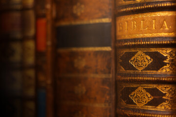 Closeup of vintage ornate book spine with gold details