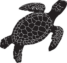 Turtle Seamless Pattern graphic vector