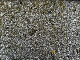 A rough concrete wall texture. Good for any project.