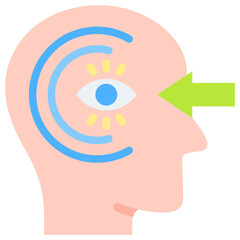 Perception Icon