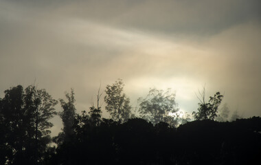 Foggy morning, a beautiful foggy morning in the summer of Brazil, Selective focus.