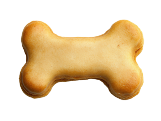 Isolated Dog Bone Biscuit