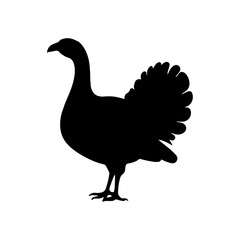 Silhouette of wild turkey bird icon vector flat illustration design.