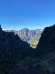 landscape in the morning