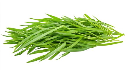 Fototapeta premium Fresh Green Grass Blades Isolated on White Background for Nature