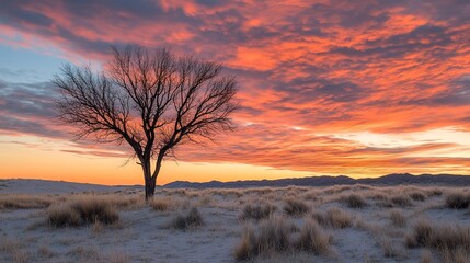 Obraz premium Sunset Sky Over Sandy Desert Landscape With Lone Tree