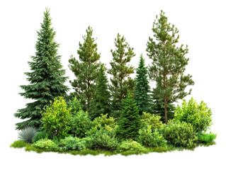 Fototapeta premium Isolated Lush Green Trees and Bushes