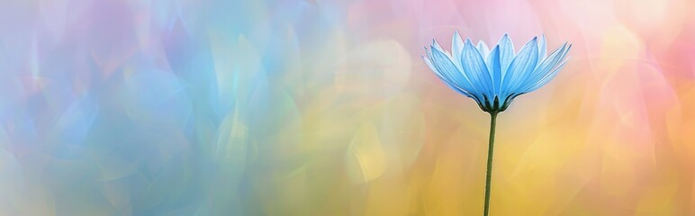 Obraz premium Blue beautiful flower on a beautiful toned blurred background, border. Delicate floral background, selective soft focus.