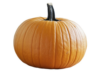 Isolated Round Orange Pumpkin