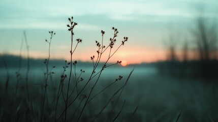 Fototapeta premium Delicate plants frame the foreground against a pastel sky, with dawn's gentle light delivering a serene, hopeful ambiance.