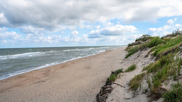 Sand dunes. Kurshskaya spit. Kaliningrad region